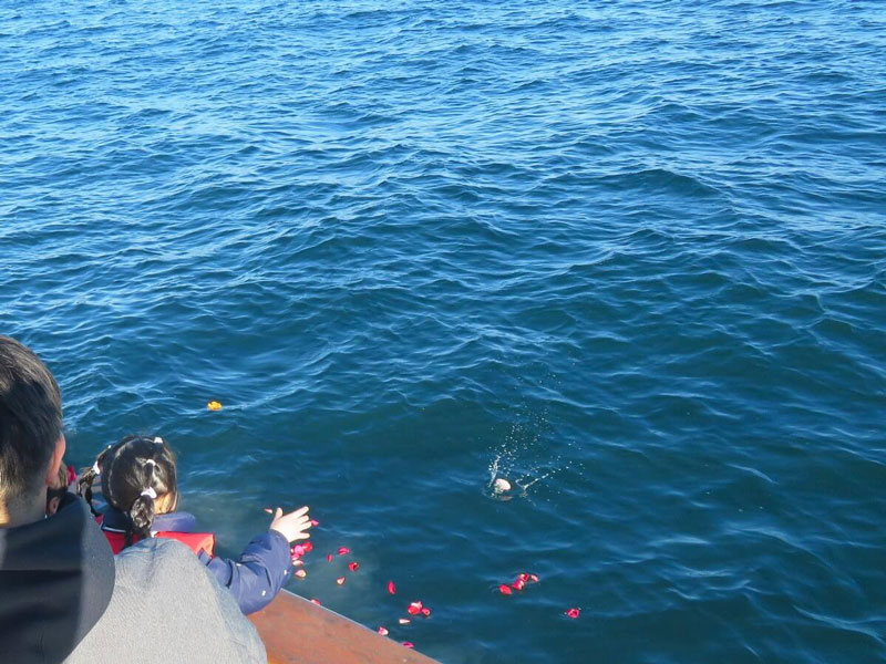 5.散骨後にお花を手向けるお孫様