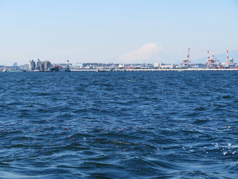 5.横浜の海へ