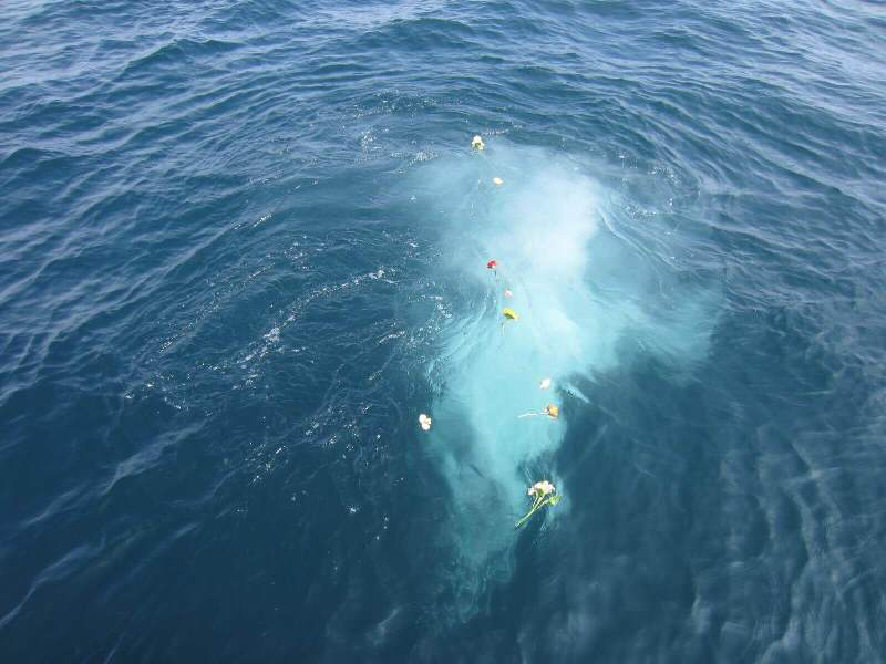 2.澄んだ海へ散骨